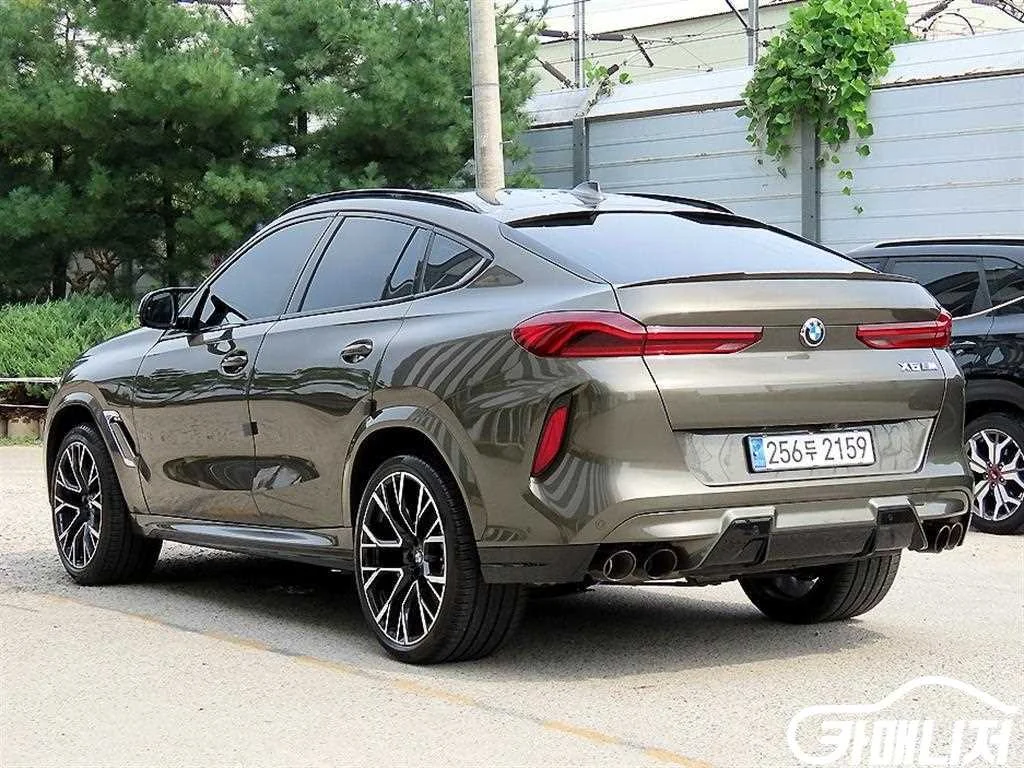 X6M (F96) 4.4 사진 3