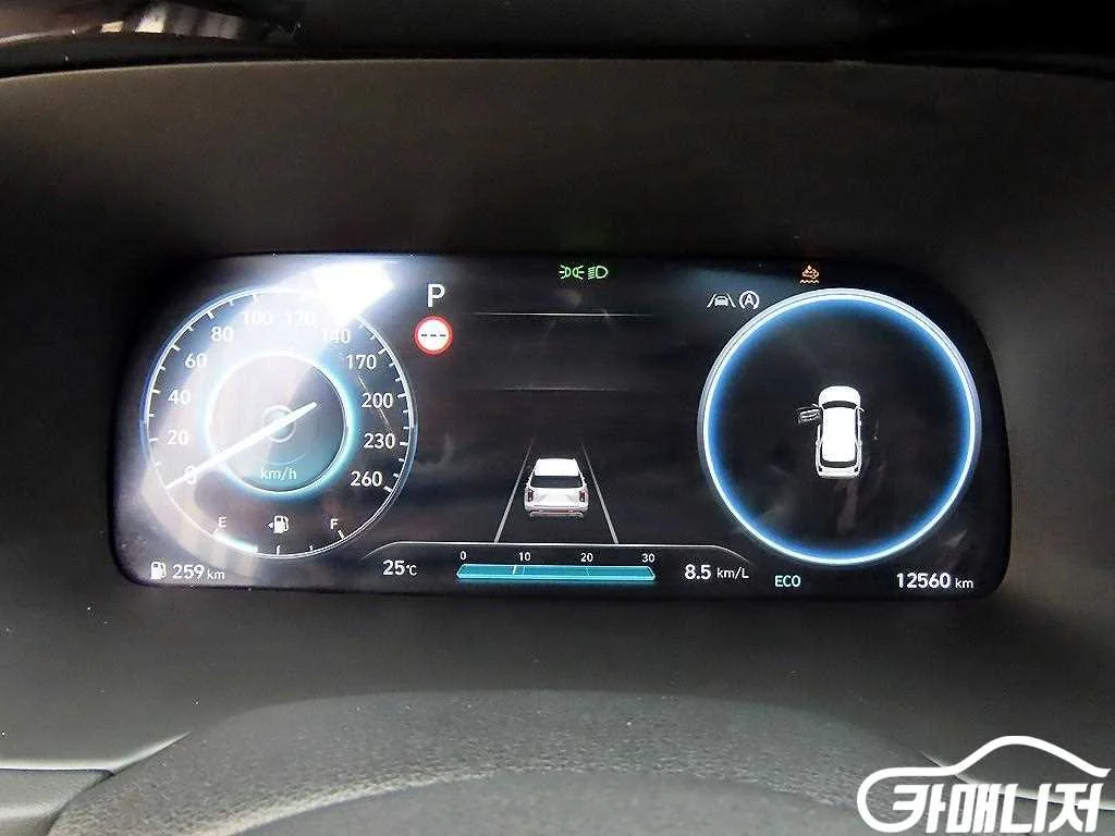 더 뉴 팰리세이드 디젤 2.2 4WD 사진 9