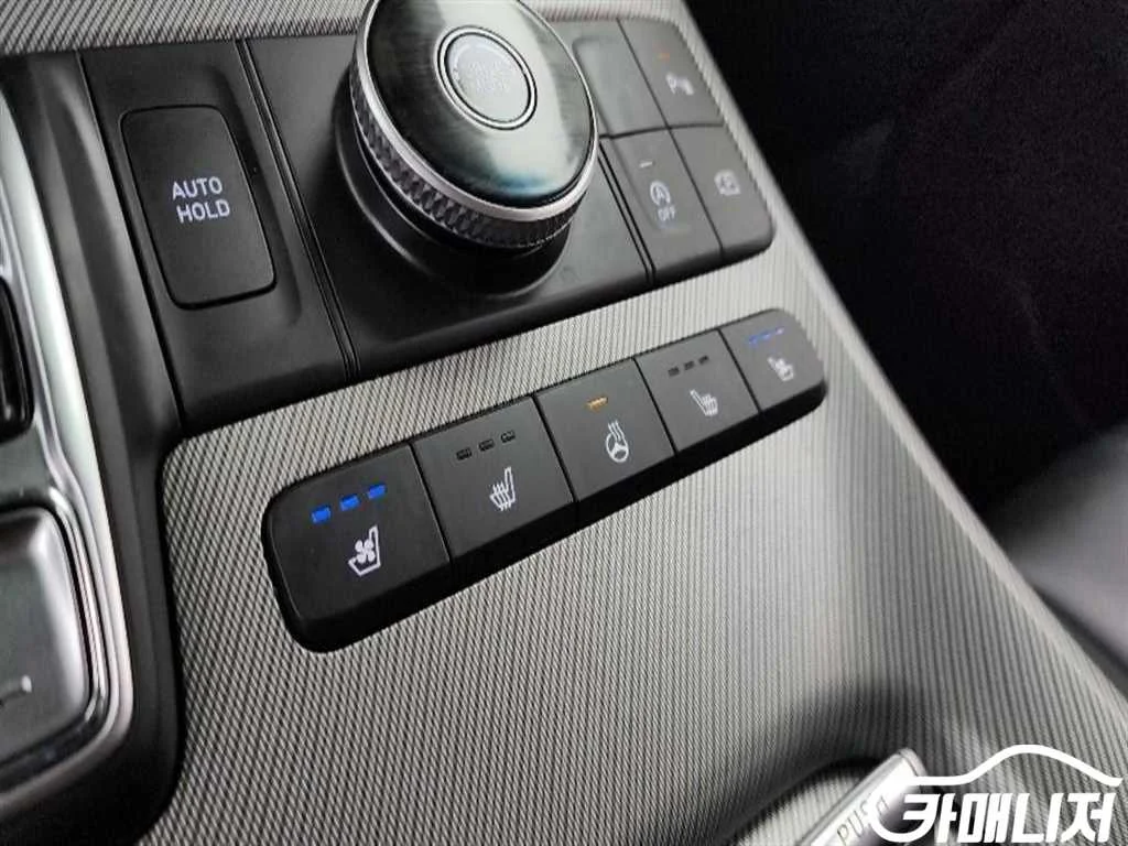 더 뉴 팰리세이드 디젤 2.2 2WD 사진 19