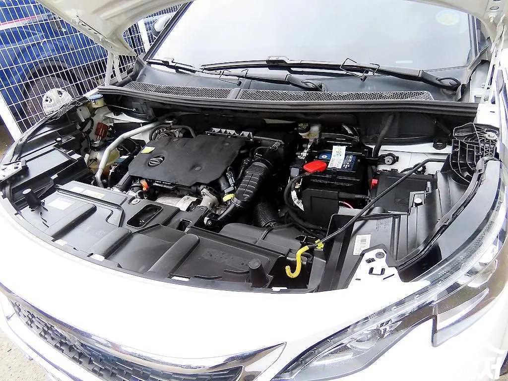 사진 19